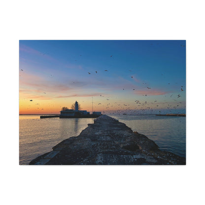 Colorful Canvas Print • "Breakwater Birds" • Vertical or Horizontal orientations • Sizes from 8"x10" to 30"x40"