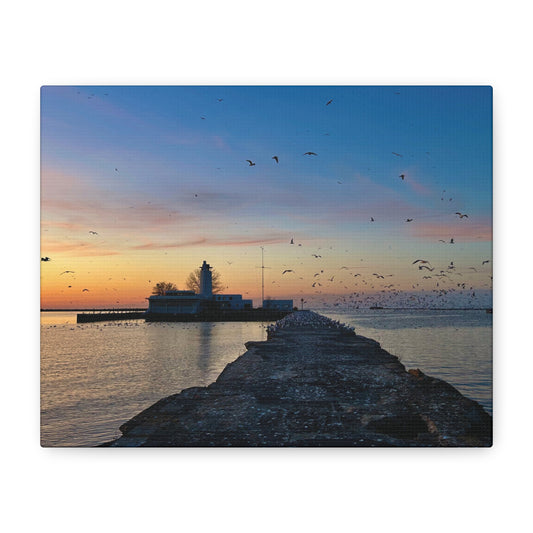 Colorful Canvas Print • "Breakwater Birds" • Vertical or Horizontal orientations • Sizes from 8"x10" to 30"x40"
