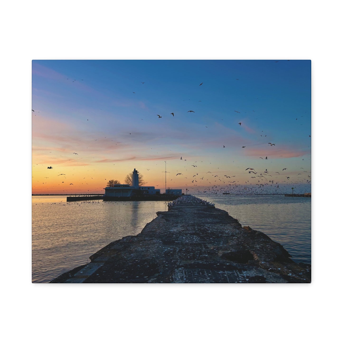 Colorful Canvas Print • "Breakwater Birds" • Vertical or Horizontal orientations • Sizes from 8"x10" to 30"x40"