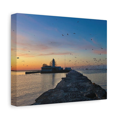 Colorful Canvas Print • "Breakwater Birds" • Vertical or Horizontal orientations • Sizes from 8"x10" to 30"x40"