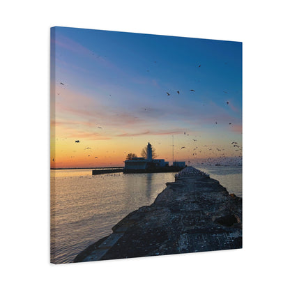 Colorful Canvas Print • "Breakwater Birds" • Vertical or Horizontal orientations • Sizes from 8"x10" to 30"x40"