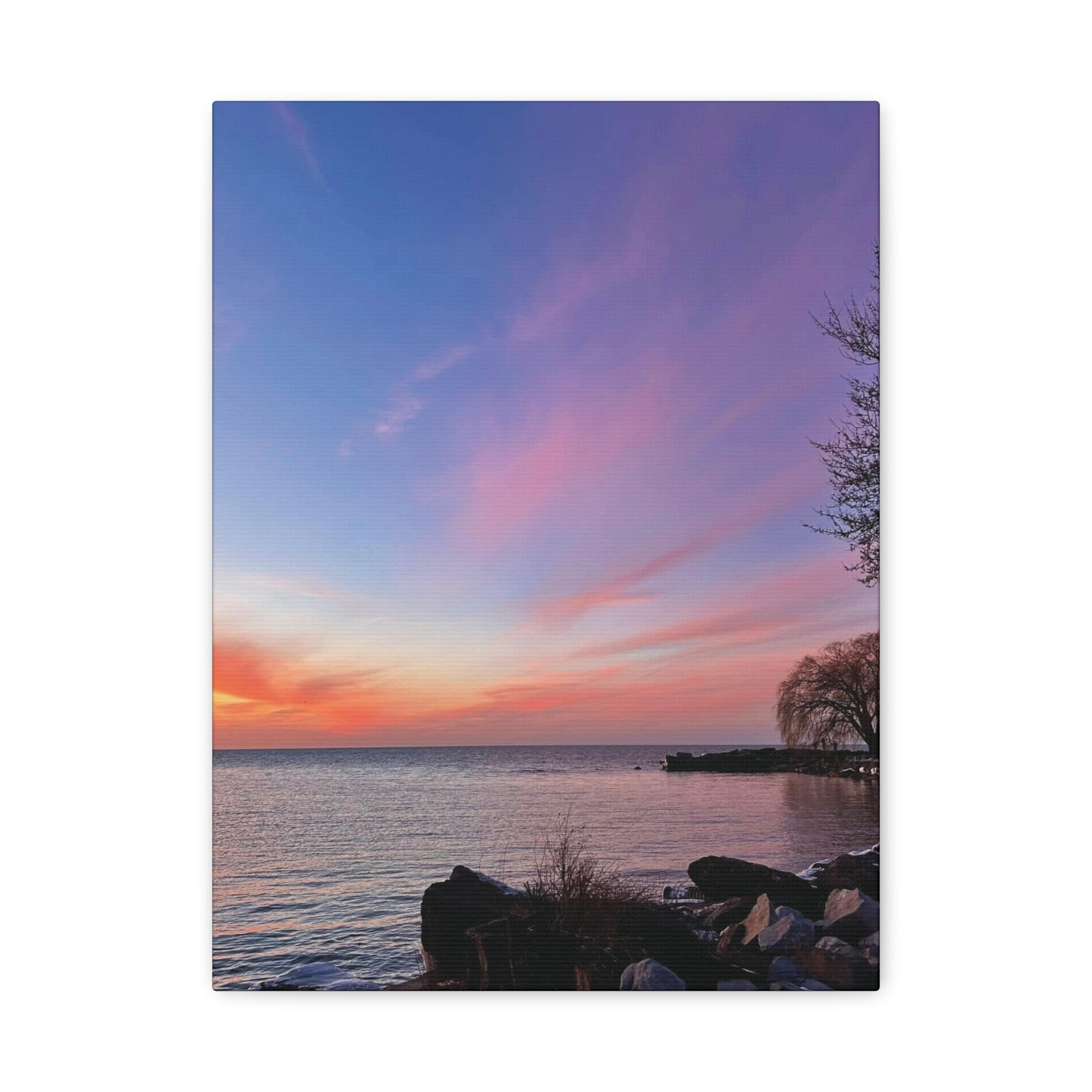 Colorful Canvas Print • "Willow at Edgewater" • Vertical or Horizontal orientations • Sizes from 8"x10" to 30"x40"