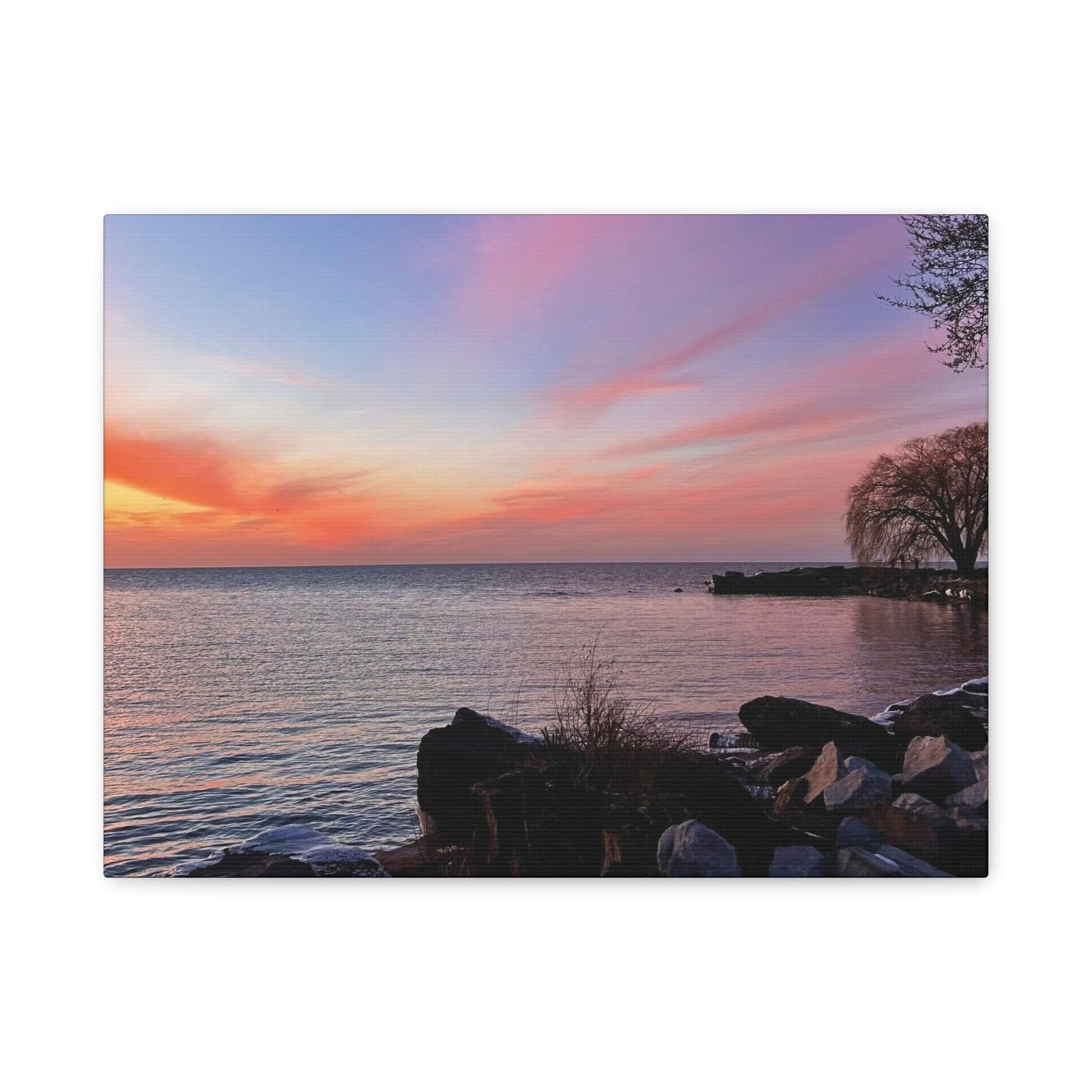 Colorful Canvas Print • "Willow at Edgewater" • Vertical or Horizontal orientations • Sizes from 8"x10" to 30"x40"