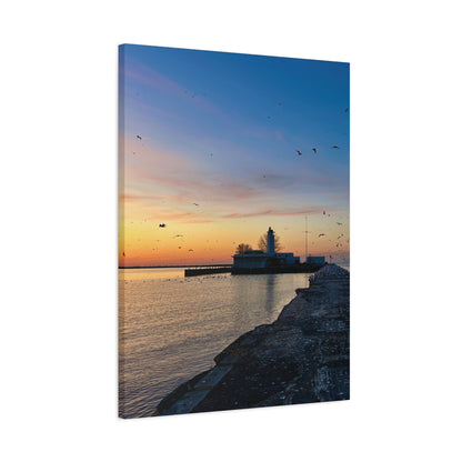 Colorful Canvas Print • "Breakwater Birds" • Vertical or Horizontal orientations • Sizes from 8"x10" to 30"x40"