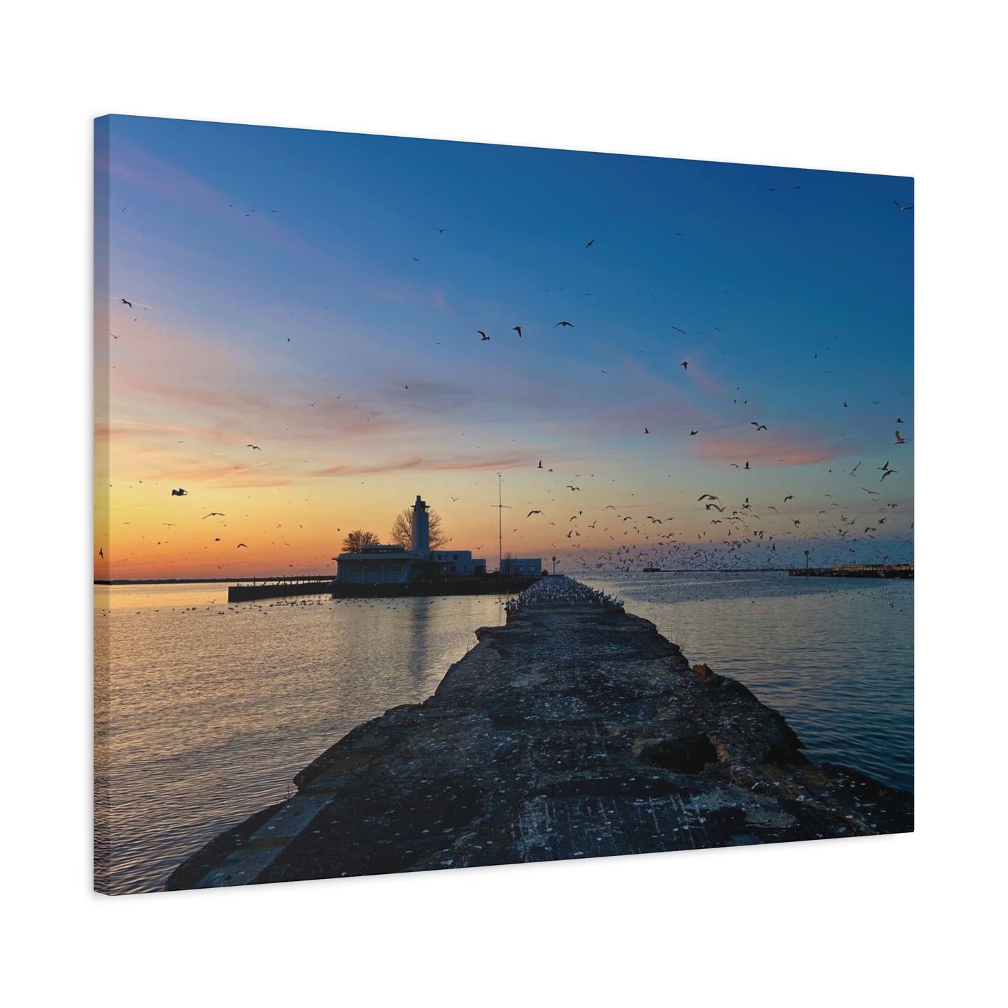 Colorful Canvas Print • "Breakwater Birds" • Vertical or Horizontal orientations • Sizes from 8"x10" to 30"x40"
