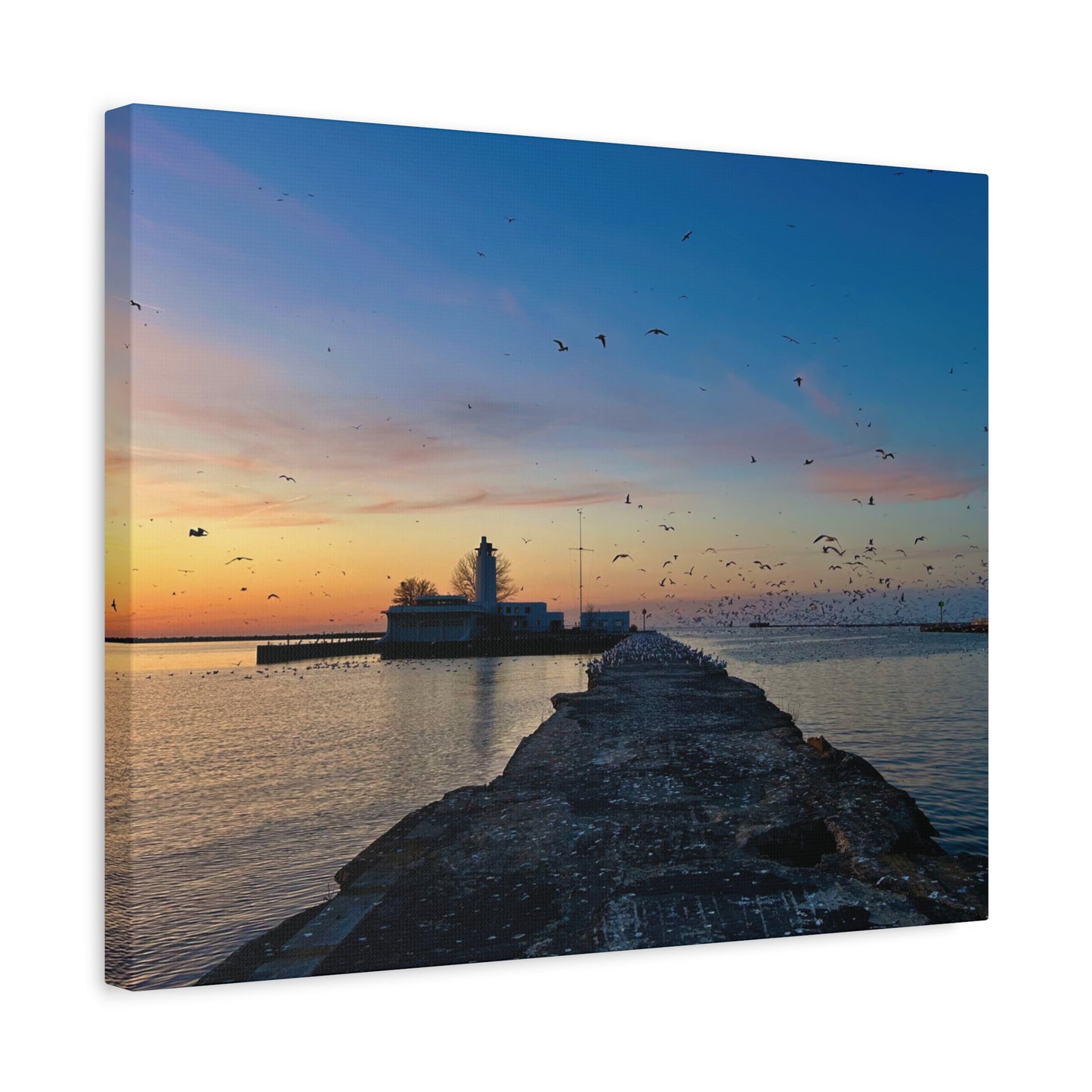 Colorful Canvas Print • "Breakwater Birds" • Vertical or Horizontal orientations • Sizes from 8"x10" to 30"x40"