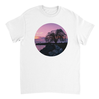 9abd0b09-e1cc-4876-a1dd-970f1f6a294e