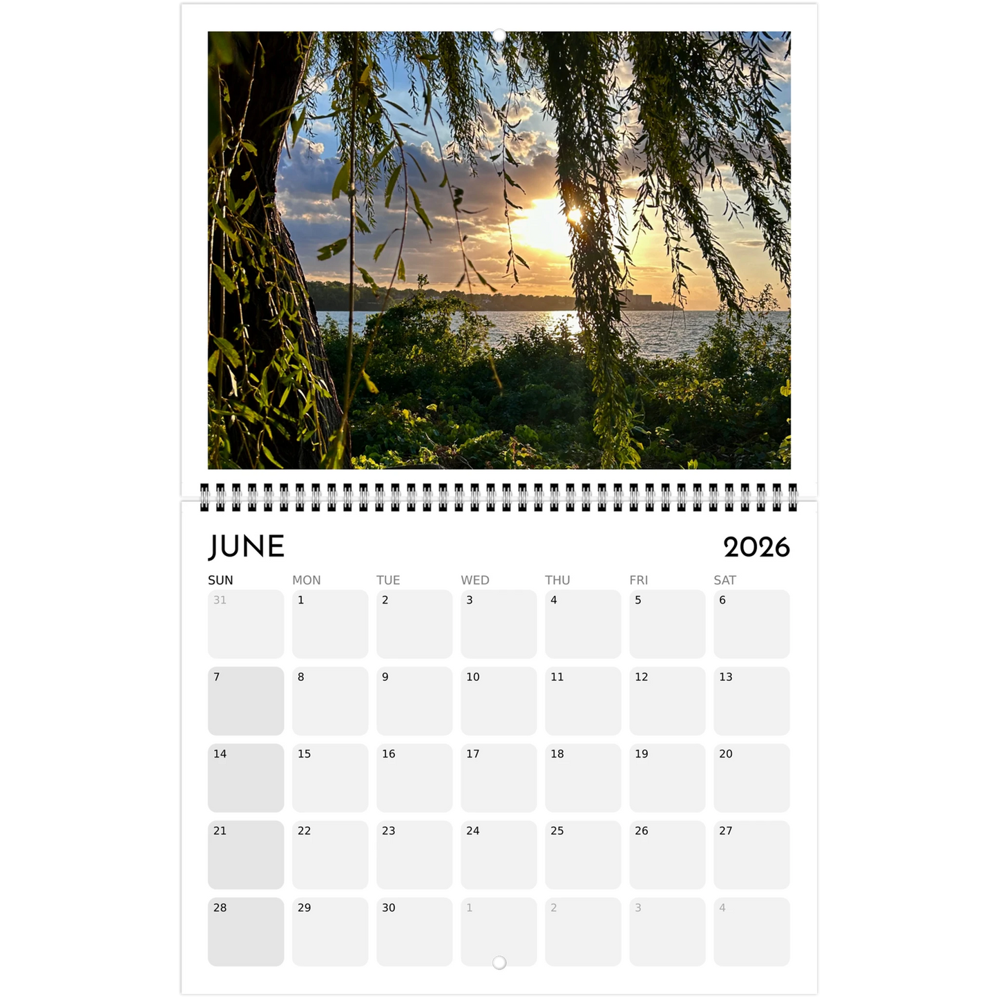 ae9cf753-9998-4b79-bff5-619fff976726