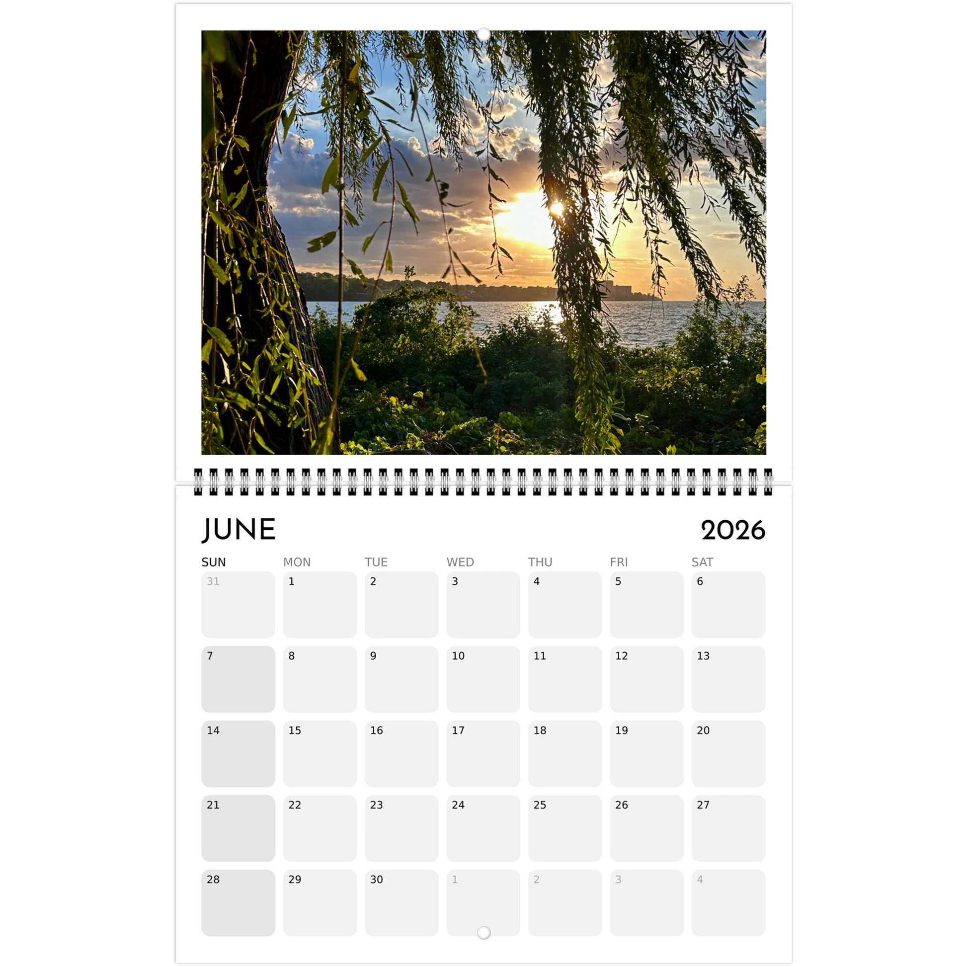 ae9cf753-9998-4b79-bff5-619fff976726