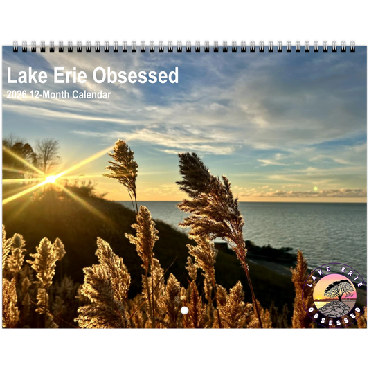 afe6cbec-b546-40b9-8ae5-7e72fb6e2546