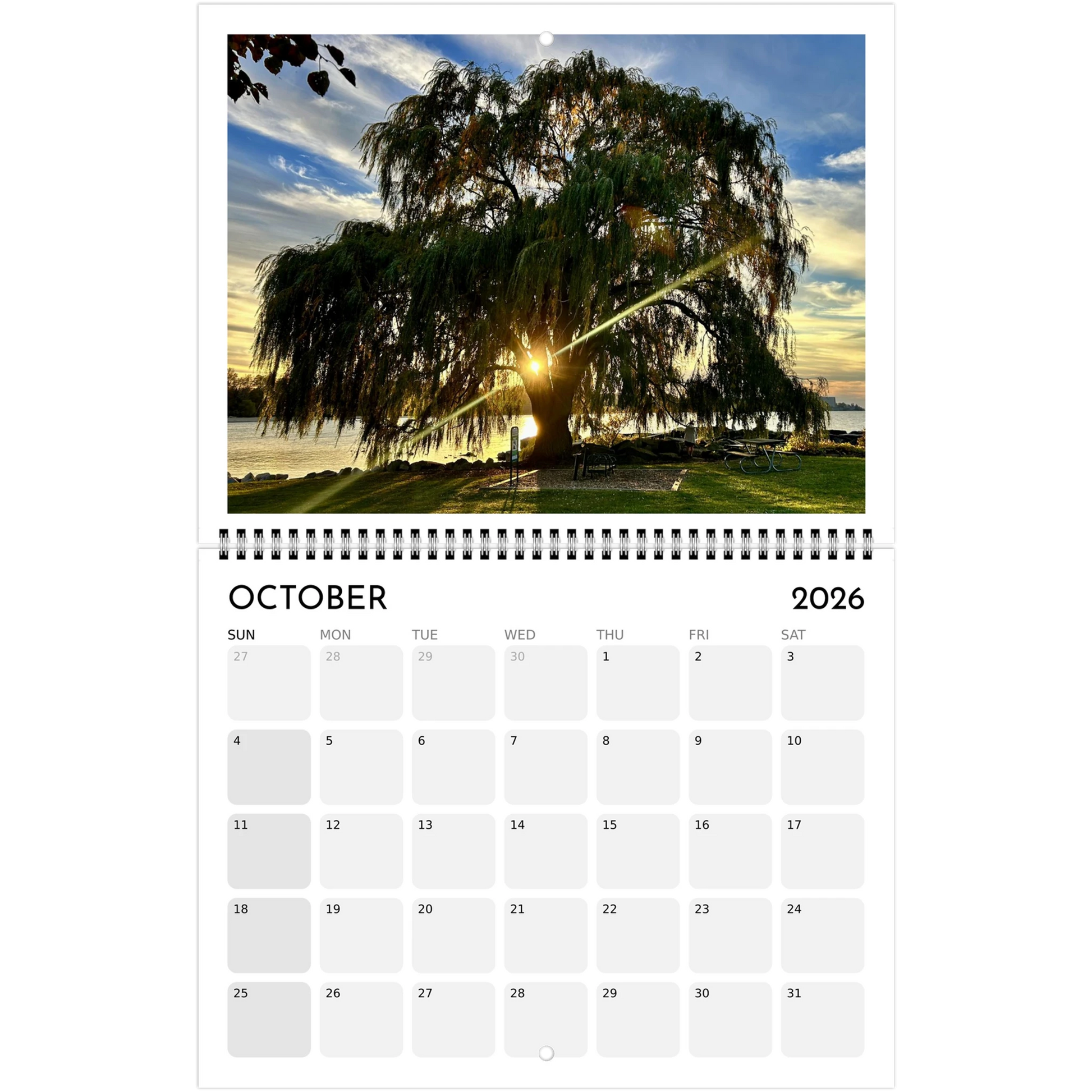 c7d81bb7-ad3f-4802-ac04-58492813faec