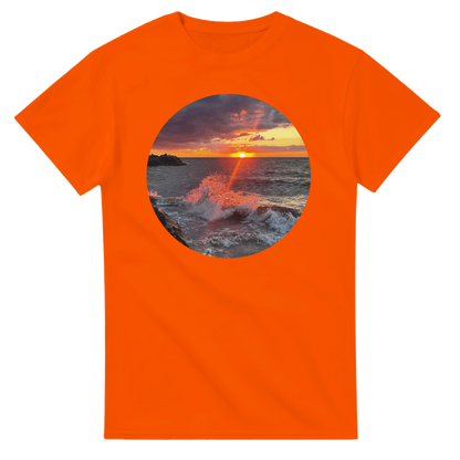 d16d9b53-1d28-4469-8986-5d813f428c6f