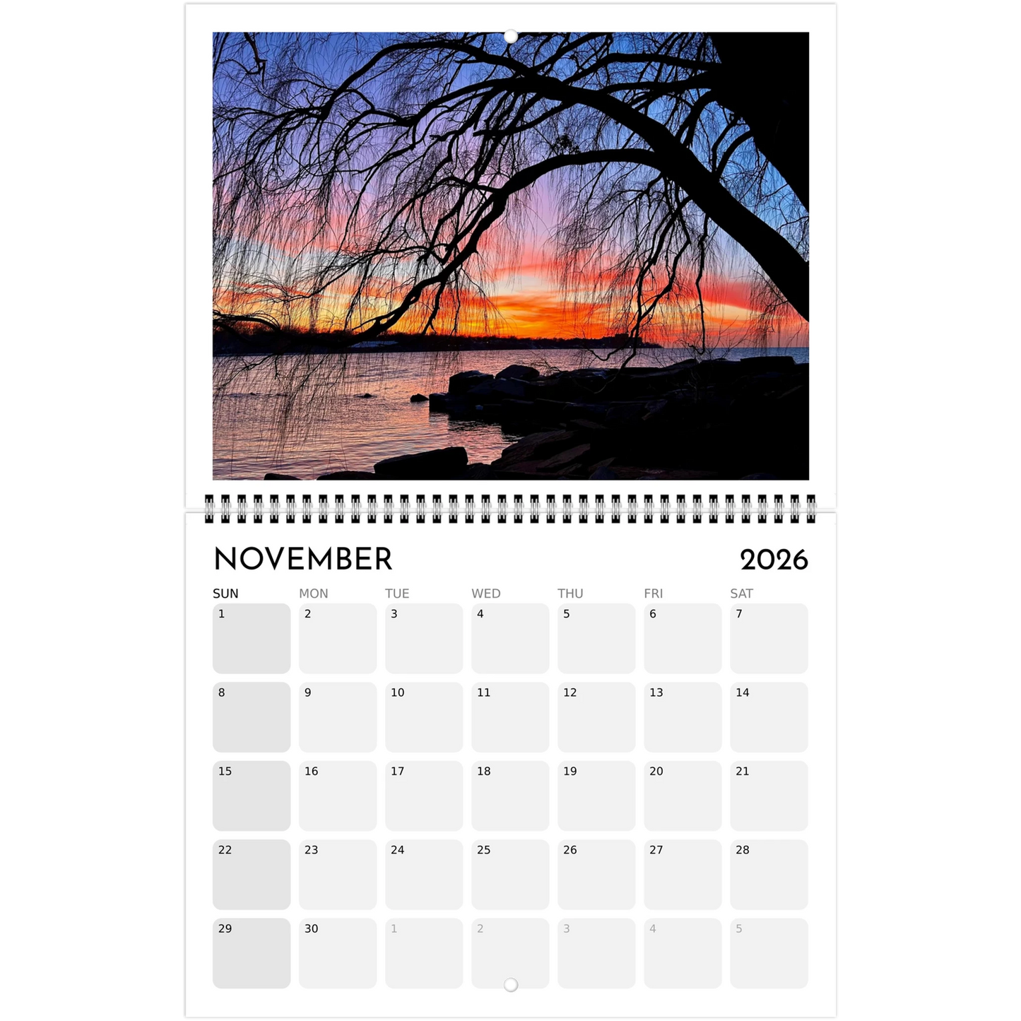 d3409c81-063b-4bf9-81b0-c8c4045ab0ae