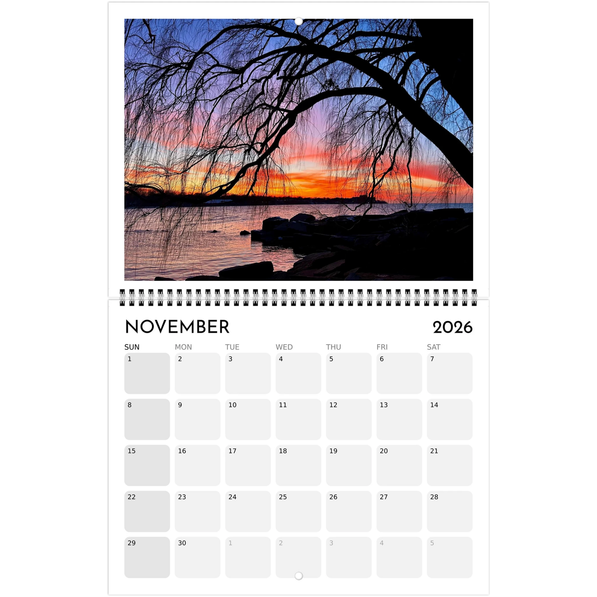 d3409c81-063b-4bf9-81b0-c8c4045ab0ae