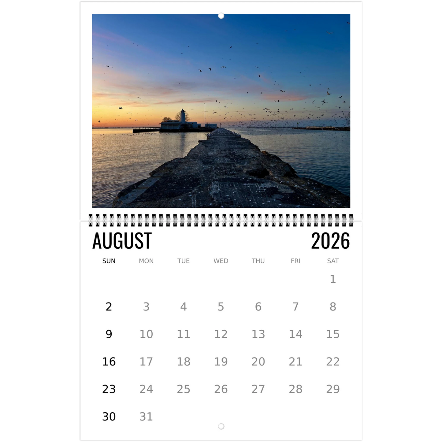 da522654-da5c-45be-9c5b-83a522724f56