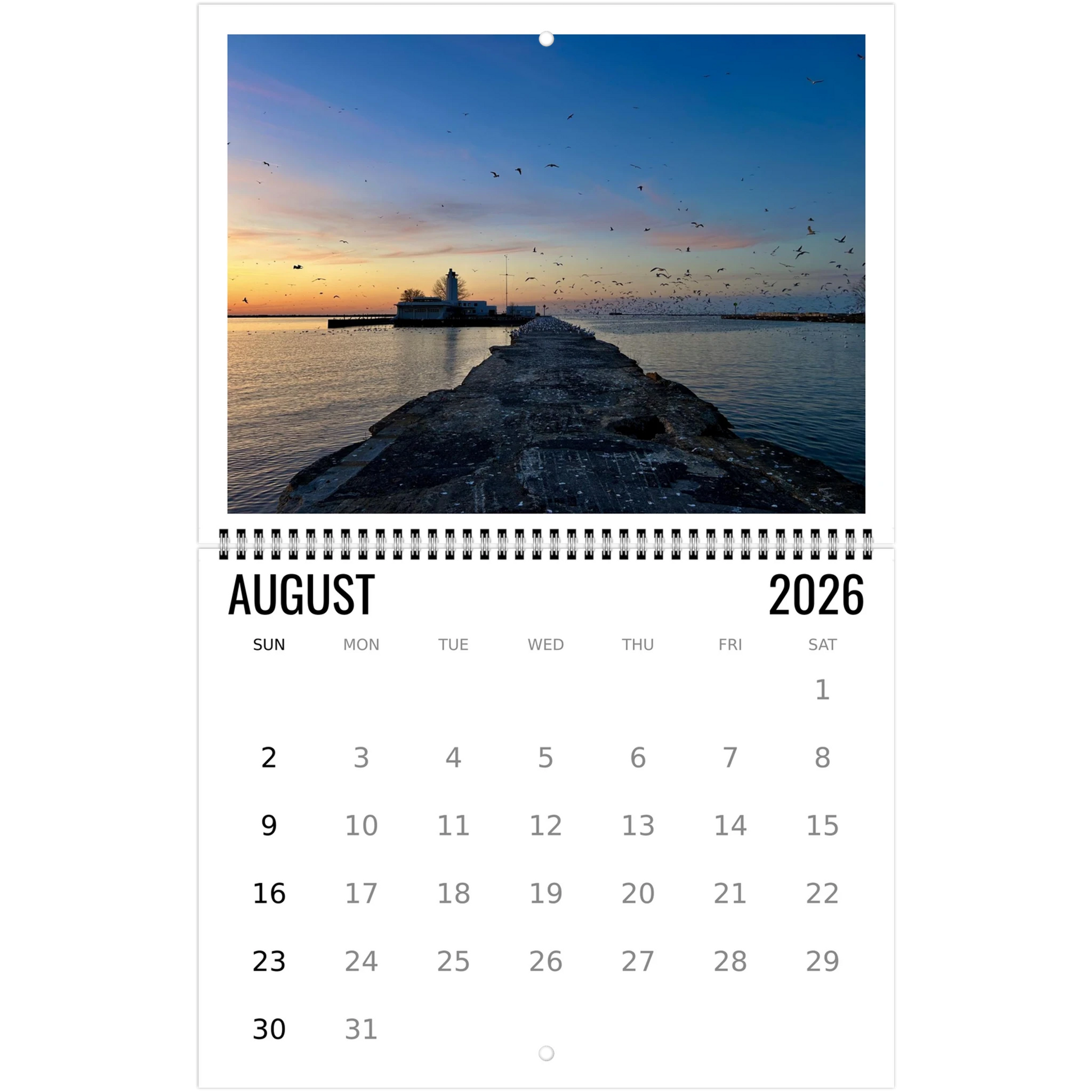 da522654-da5c-45be-9c5b-83a522724f56