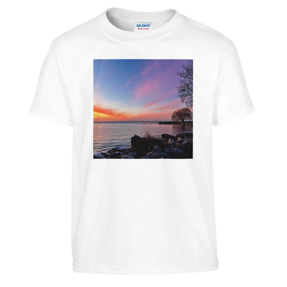 db6e9ffc-fd7f-4541-9d9d-81f4b7f0d11f