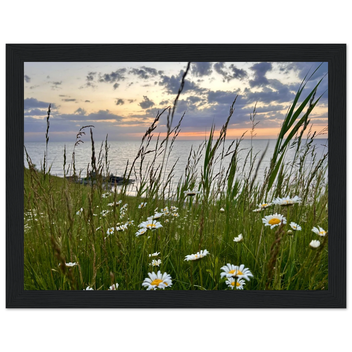 df6486fb-0242-4bcf-8134-337c35c6ee21