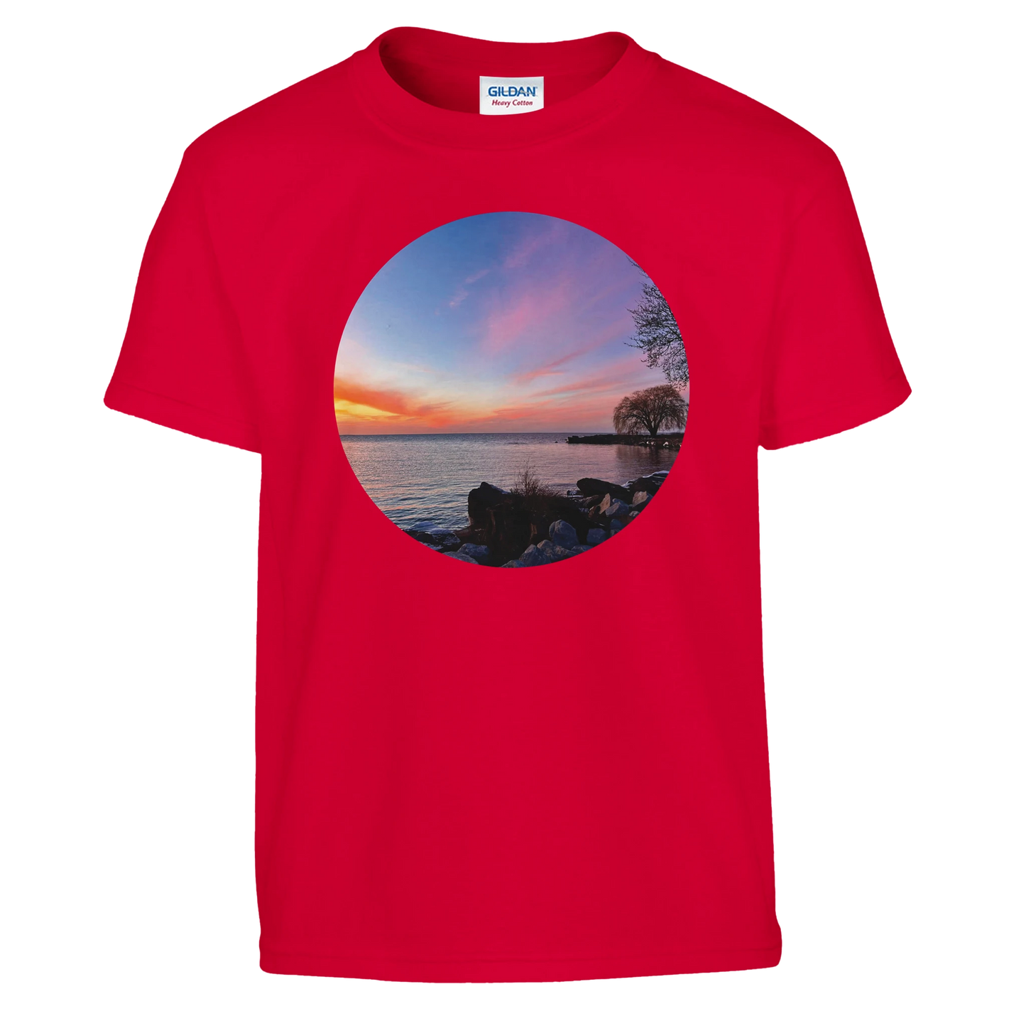 fdcfa91c-8e10-430d-9d16-483a6c5ba31c