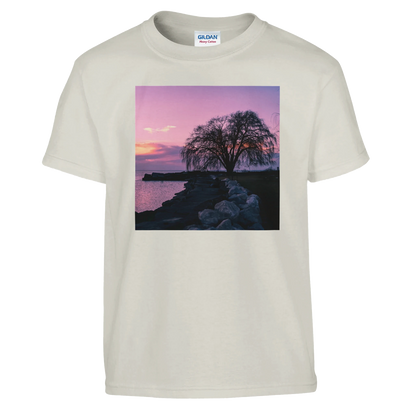 ffc5cf49-7572-4aa6-aa79-65cc68697527